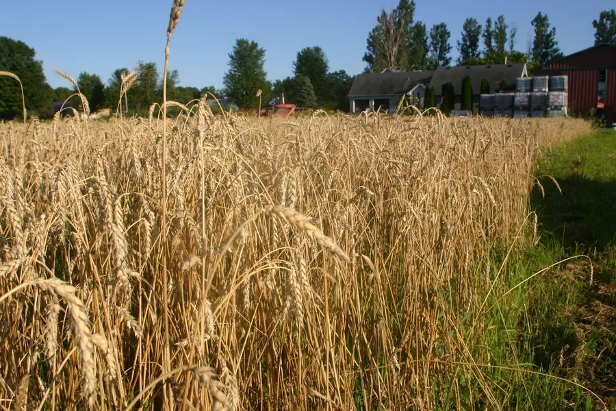 Farmland Owners & Operators