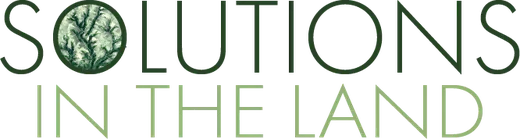 Solutions in the Land