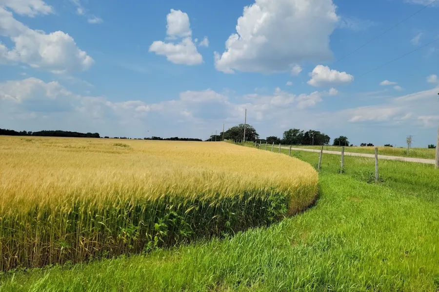 Ecological Assessment