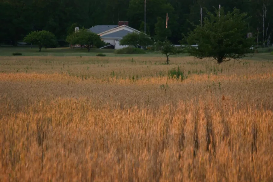 Farm Lease Consulting