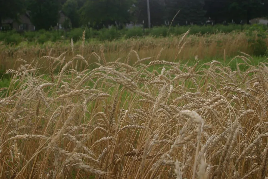 Whole-System Farm Planning